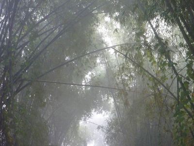 P1080267